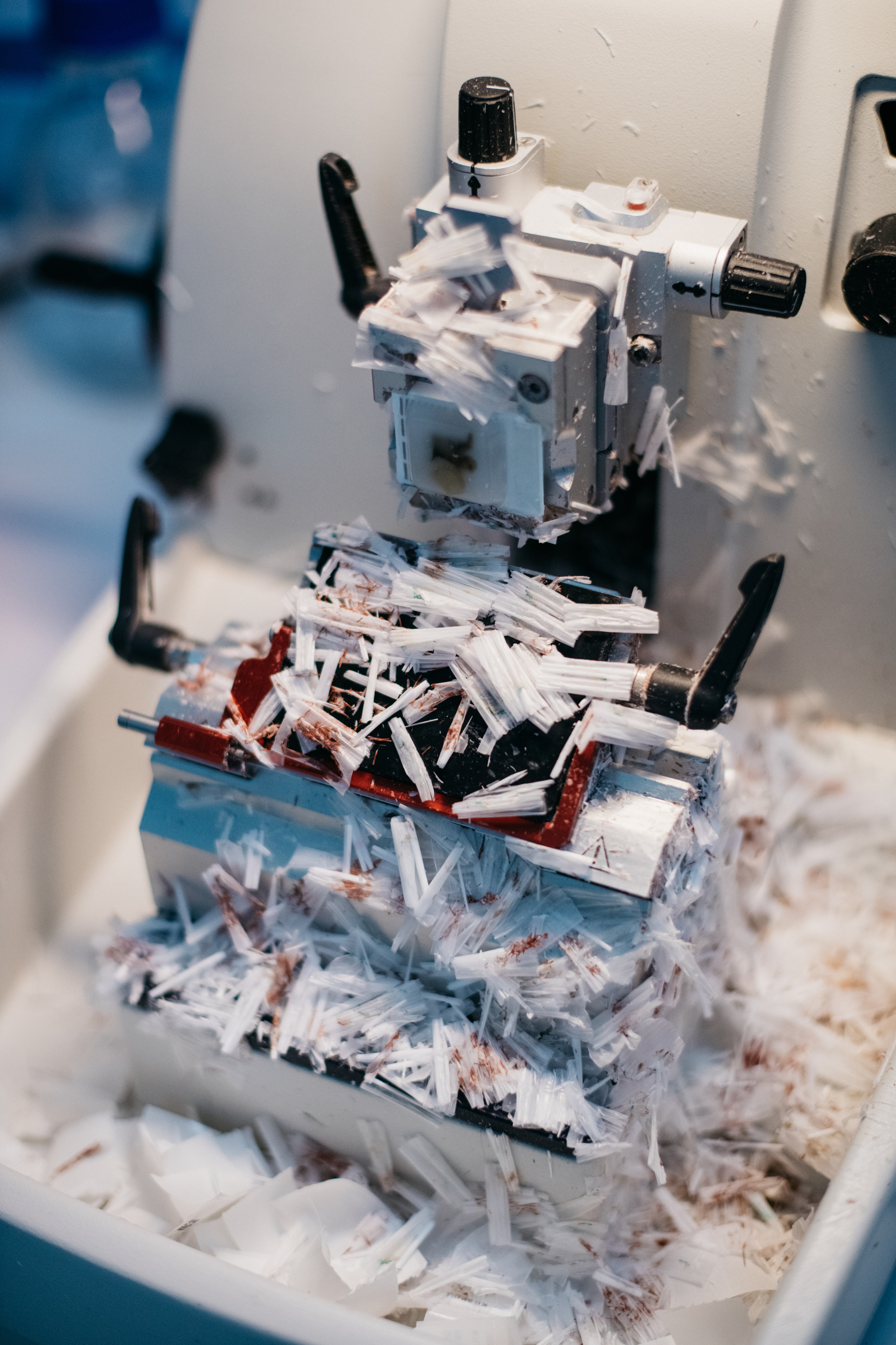 UNIM, the digital pathomorphological laboratory. Moscow Region, Russia. For Forbes